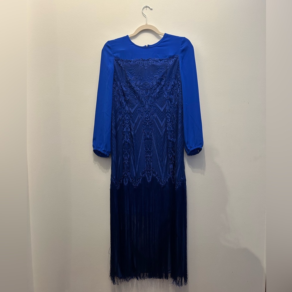 Stunning vintage fringe dress